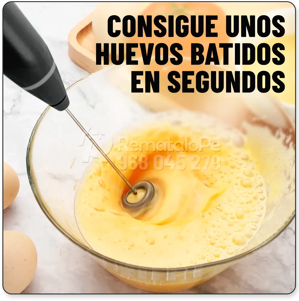 BATIDORA PORTÁTIL ELECTRICA