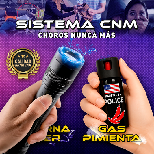 SISTEMA CNM
